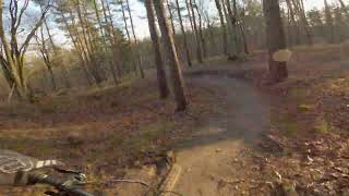 On-Line - Grunewald Berlin