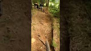 Crashing in the woods  #mountainbike...