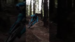 Have you ridden a good flow trail yet?