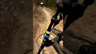 Tires on dirt #mountainbike #boomers #asmr...
