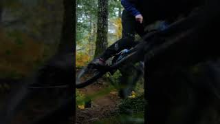Trail Gaps!