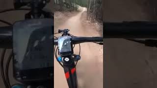 Speedy downhill with Jumps!!!