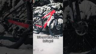 I think my bike has cabin fever • #mtb