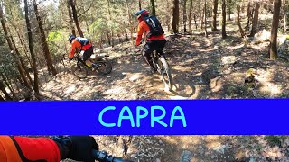 MTB Calenzano 11.02.2023 sentiero CAPRA
