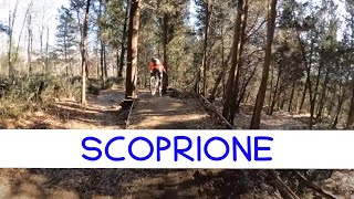 MTB Travalle 11.02.2023 sentiero SCORPIONE