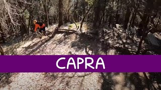 MTB Travalle 11.02.2023 sentiero CAPRA