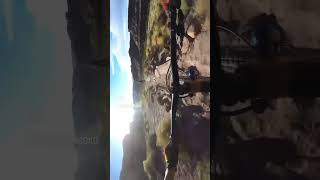 Guess the trail… #shorts