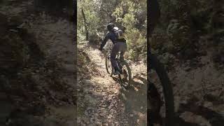 Freewheel/Greasque