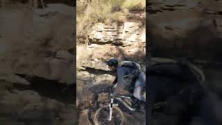 Freewheel/Greasque