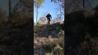 Freewheel/Greasque
