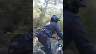 Freewheel/Greasque
