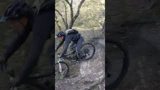 Freewheel/Greasque