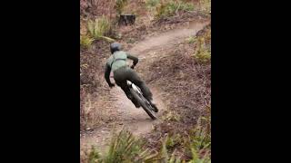What matters more, geometry or suspension?