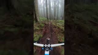 North Shore loam, pt 1 #mountainbiking #mtb...