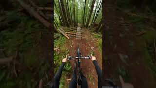 These wooden jumps are falling apart!...