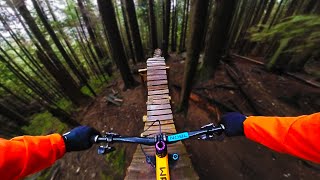 This Trail is in the Trees