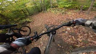 RAW - Black Bear   East Burke VT