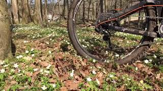 Spring is in the air