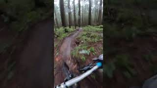 North Shore Loam, pt 2 #mountainbiking #mtb...