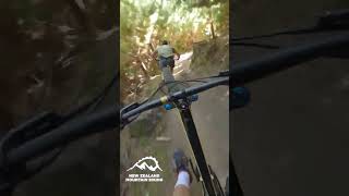When the sun is shining in Rotorua  #mtb...