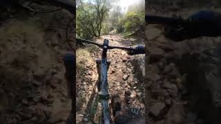 Just a little Rocky!