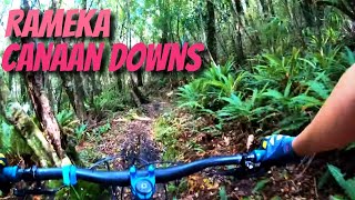 Native NZ forest and an epic ride on the...