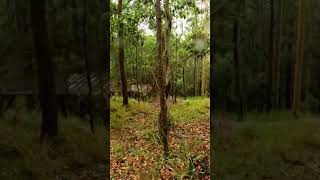 Big case #shorts #asmr #stack...