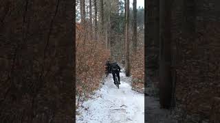 Pick your own adventure root carpet in the snow