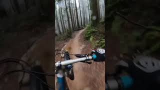 RAW POV Down Pingu, Seymour MTN...
