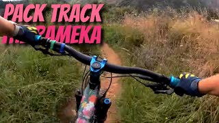 Pack Track - Rameka, Tasman, New Zealand, Feb 2023