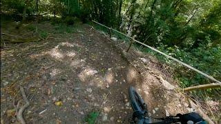 Salamandra - Monte Morello