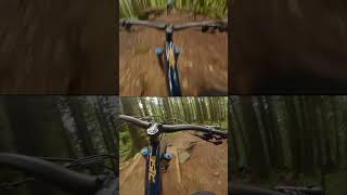 Elevator Music MTB 