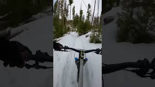 Groomed Trails Are Just The Best #mtb #fatbike
