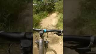 Flow trails #flow #shorts #asmr #mountainbike...