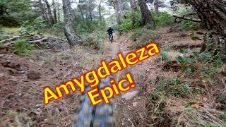 Amygdaleza trail before Barbara snowstorm! MTB...