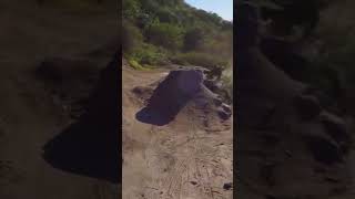 This guy got lucky.