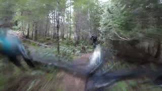 Bottom Hootenany Mountain Bike Trail