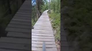 Longest wooden feature!!!