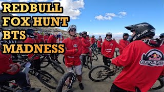 THE LSD OF REDBULL FOX HUNT NZ !