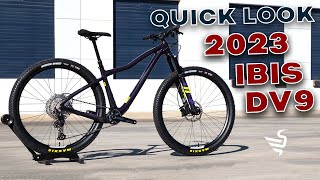 A Quick Look at the New 2023 Ibis DV9!...
