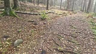 26 oct 2022 Hovskogen 2