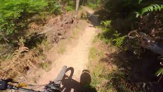 Trail Bavash - Gattinara