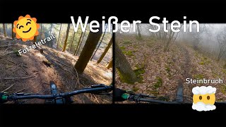 Let's Ride MTB - Heidelberg // Weißer Stein -...