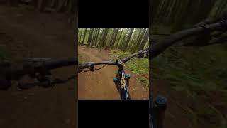 MTB: Speeding through Endor! 