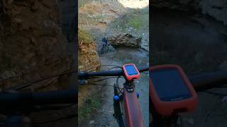 Amazing Trail MTB  #shorts #mtb #mountainbike...