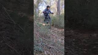 Lili Line/Simiane Collonque/Lili vtt