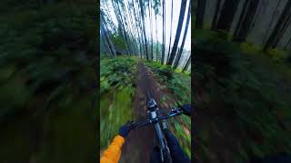 Insane Downhill Run!!