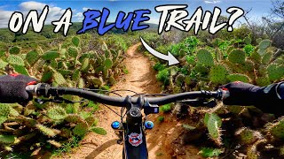 My New MTB Loop: Sinkholes, Cactus Gardens...