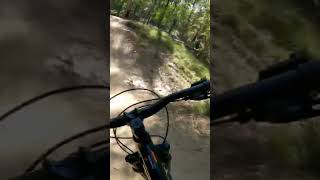Full blast #speed #mtb #shorts #mountainbike