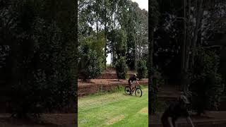 Drop drop #shorts #mtb #mountainbike
